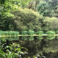 Cette photo IMG-20240528-WA0008.jpg, a été réduite de 33.79 % le Mardi 18 Novembre 2025 à 09:11 par Emjysoft Photo Réducteur v6.0 à télécharger sur https://www.emjysoft.com/