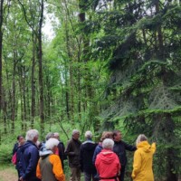 Cette photo IMG-20240528-WA0026.jpg, a été réduite de 33.74 % le Mardi 18 Novembre 2025 à 09:11 par Emjysoft Photo Réducteur v6.0 à télécharger sur https://www.emjysoft.com/