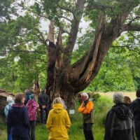 Cette photo IMG-20240528-WA0030.jpg, a été réduite de -5.81 % le Mardi 18 Novembre 2025 à 09:11 par Emjysoft Photo Réducteur v6.0 à télécharger sur https://www.emjysoft.com/