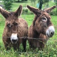 Cette photo IMG-20240530-WA0007.jpg, a été réduite de -10.03 % le Mardi 18 Novembre 2025 à 09:11 par Emjysoft Photo Réducteur v6.0 à télécharger sur https://www.emjysoft.com/