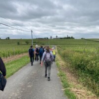 Cette photo IMG-20240528-WA0047.jpg, a été réduite de -8.63 % le Mardi 18 Novembre 2025 à 09:11 par Emjysoft Photo Réducteur v6.0 à télécharger sur https://www.emjysoft.com/