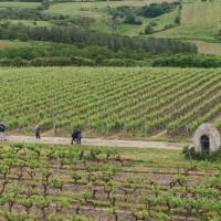 Cette photo IMG-20240529-WA0009.jpg, a été réduite de -8.29 % le Mardi 18 Novembre 2025 à 09:11 par Emjysoft Photo Réducteur v6.0 à télécharger sur https://www.emjysoft.com/