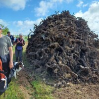 Cette photo IMG-20240530-WA0001.jpg, a été réduite de 29.57 % le Mardi 18 Novembre 2025 à 09:11 par Emjysoft Photo Réducteur v6.0 à télécharger sur https://www.emjysoft.com/