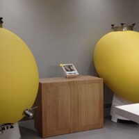 Cette photo IMG_20240529_131446.jpg, a été réduite de 94.31 % le Mardi 18 Novembre 2025 à 09:11 par Emjysoft Photo Réducteur v6.0 à télécharger sur https://www.emjysoft.com/